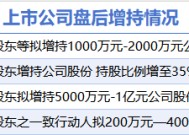 2月11日增减持汇总：黑猫股份等4股增持 青木科技等13股减持（表）