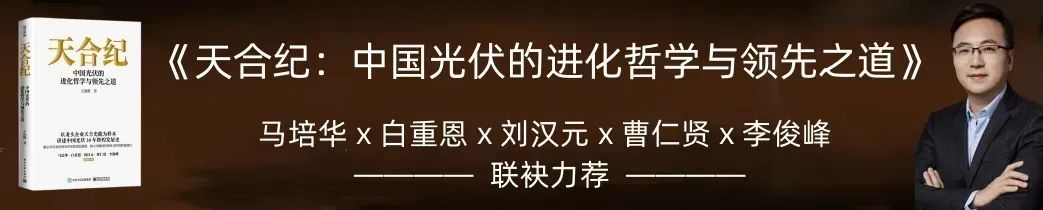 这个份额仅占全球8%的市场，缘何令华为、阳光、宁德、比亚迪“抢破头”？