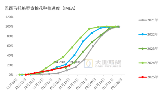 棉花：加关税威胁仍在，关注春节期间外盘对内盘指引