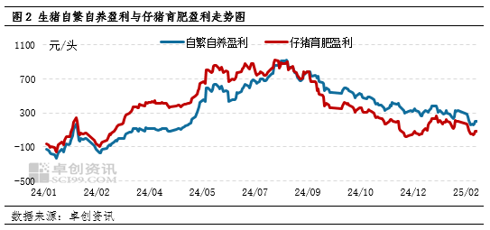 卓创资讯：规模企业母猪暂未开启减产 产能拐点未至